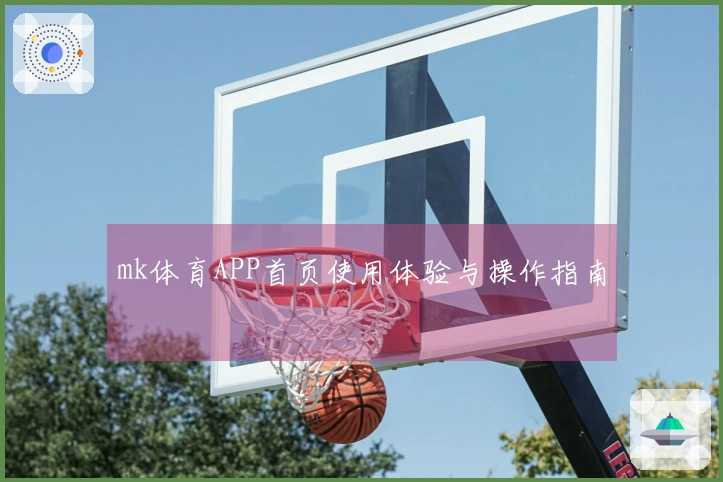 mk体育APP首页使用体验与操作指南