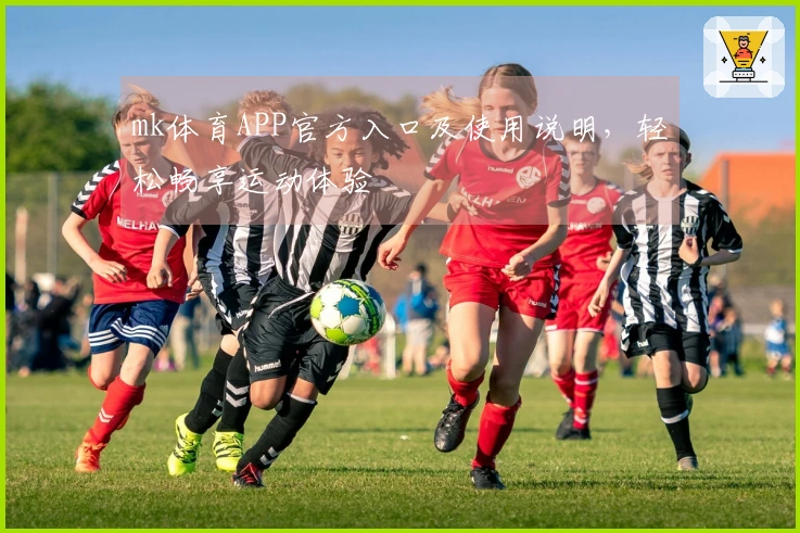 mk体育APP官方入口及使用说明，轻松畅享运动体验