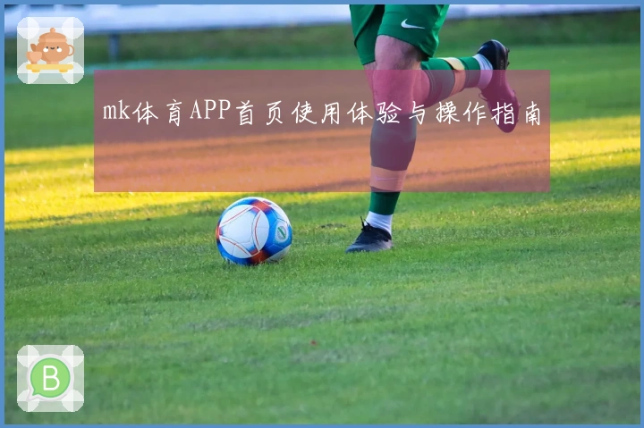 mk体育APP首页使用体验与操作指南