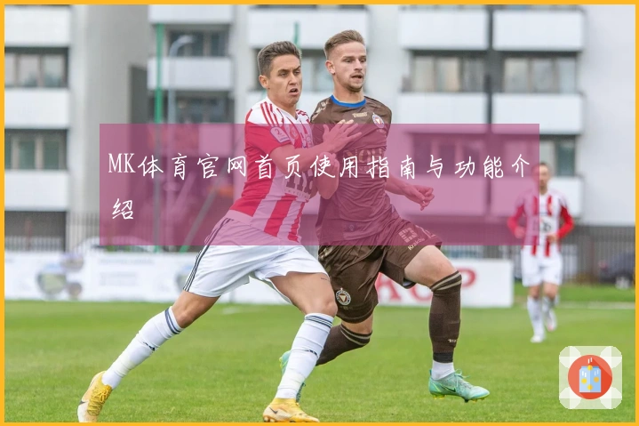MK体育官网首页使用指南与功能介绍