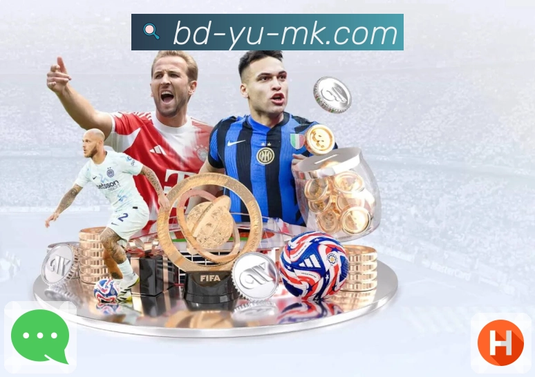 内容更新认证展示